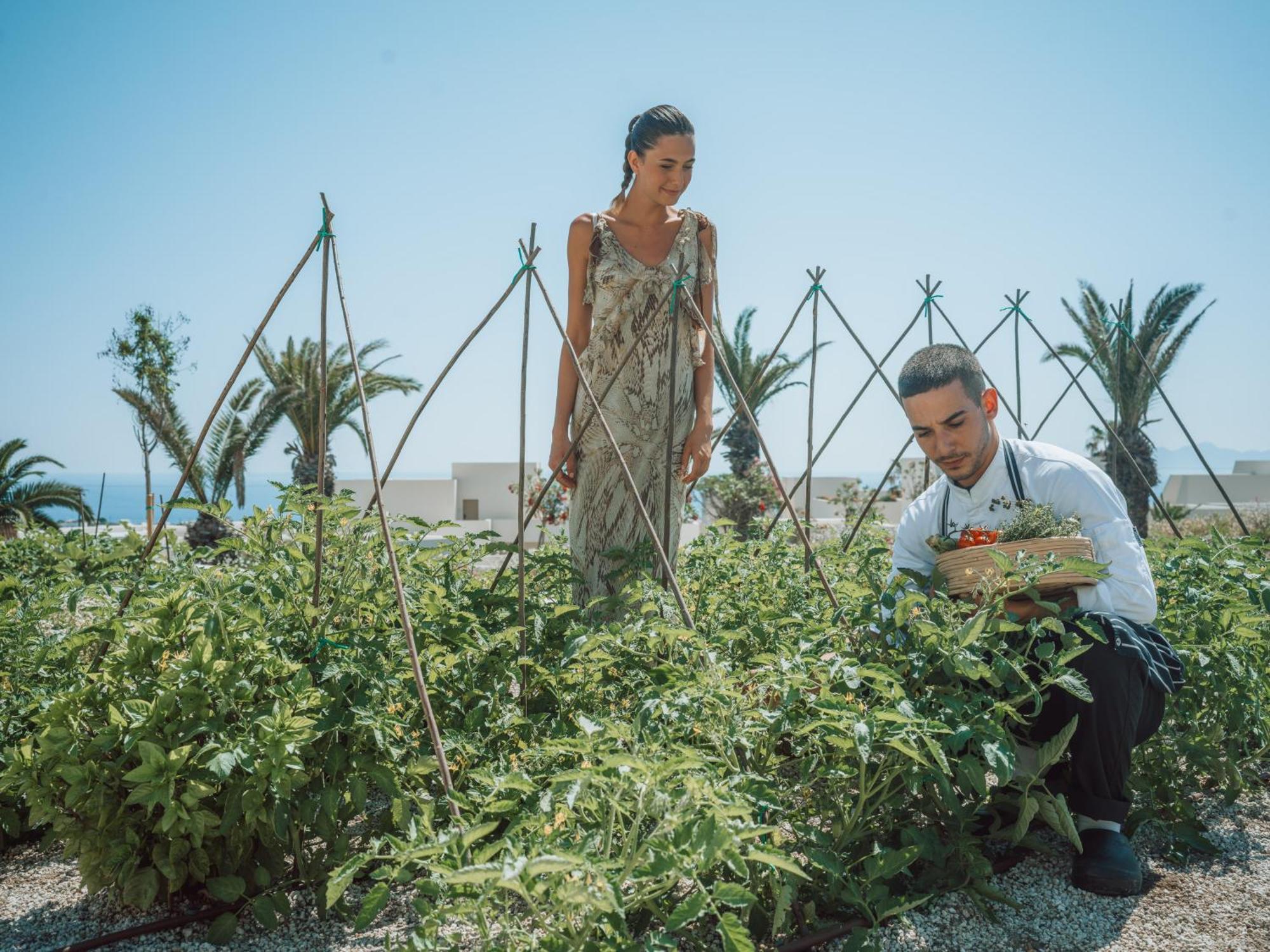 ホテル Nous Santorini メッサリア エクステリア 写真